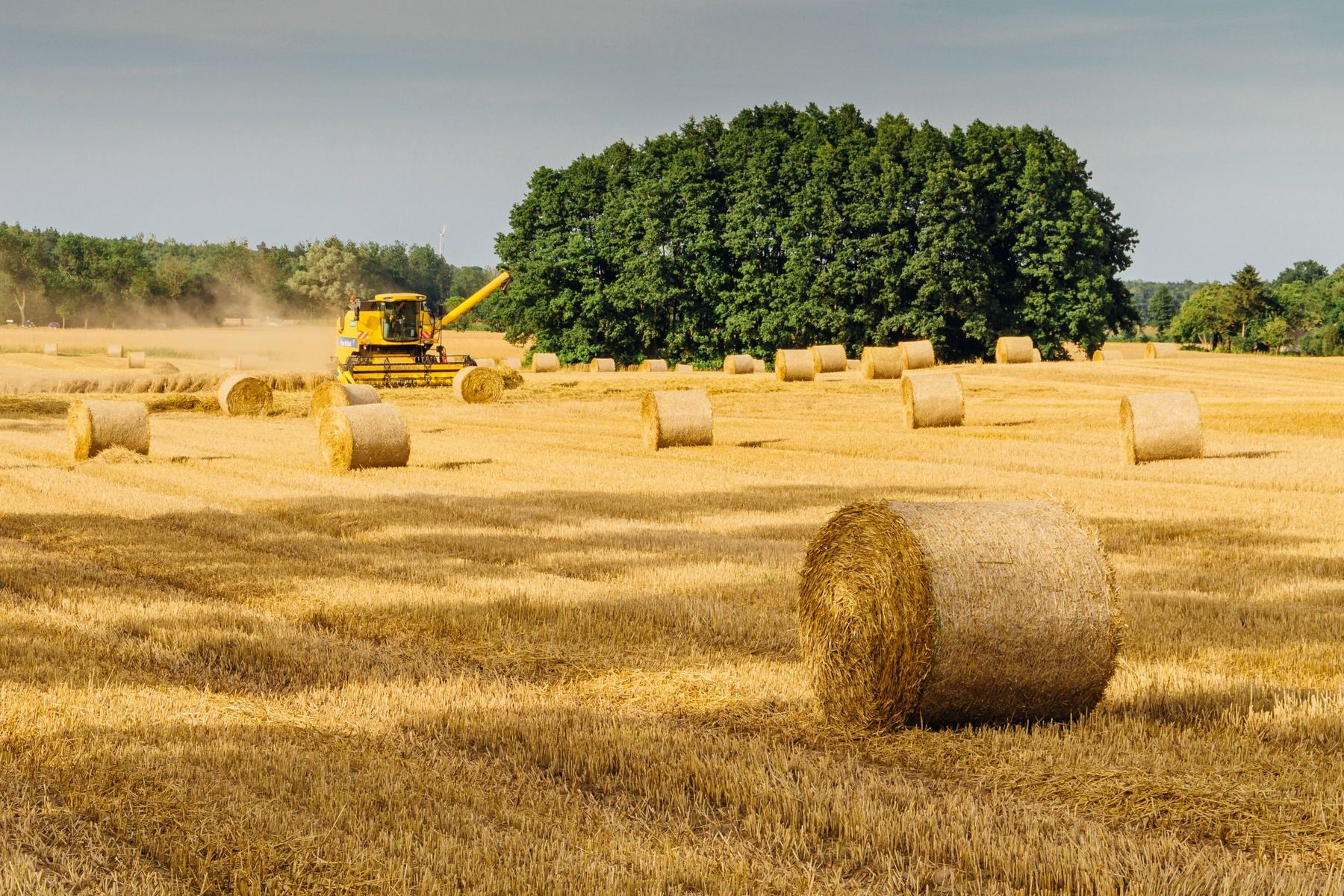 Harvest and round bales